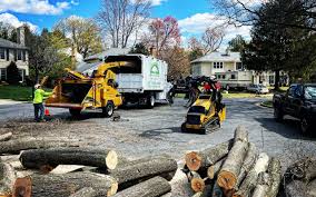 Best Hazardous Tree Removal  in Midlothian, TX